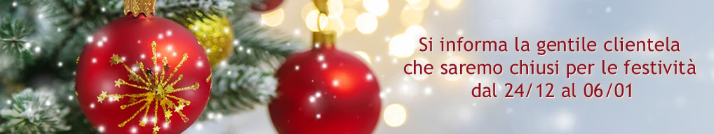 Chiusura Natalizia